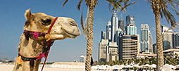 Dubai Reisetipps