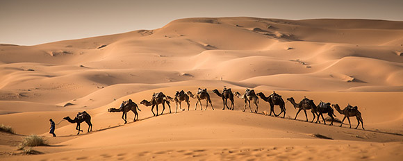 Abenteuerliche 4x4 Touren, Kamelreiten und Trekkings in der Wüste des Oman
