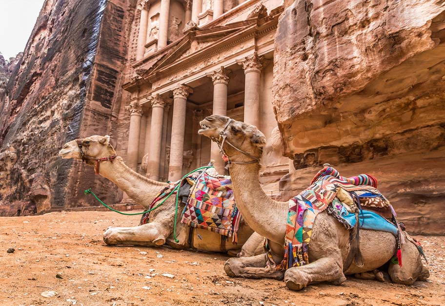 Kamele vor Petra in Jordanien
