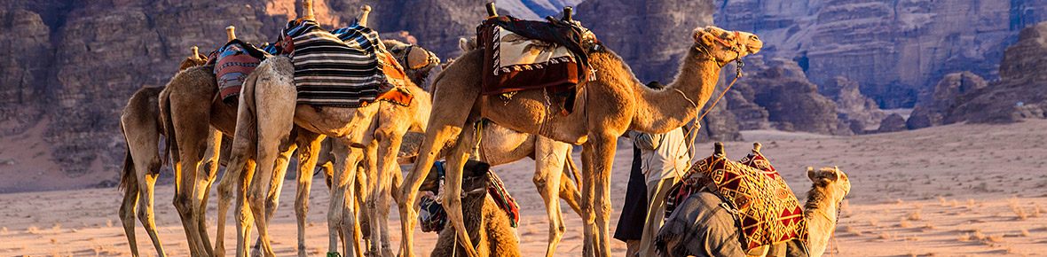 Jordanien Gruppenreisen