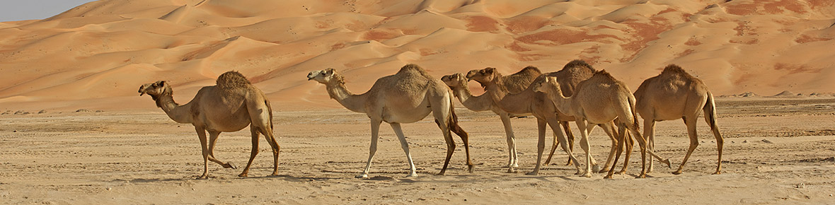 Oman Gruppenreisen