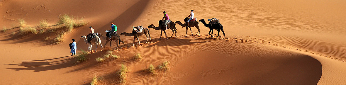 Dubai Wüstensafaris